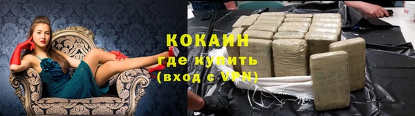 дживик Белоозёрский