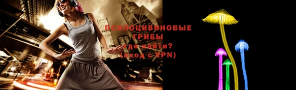 дживик Белоозёрский
