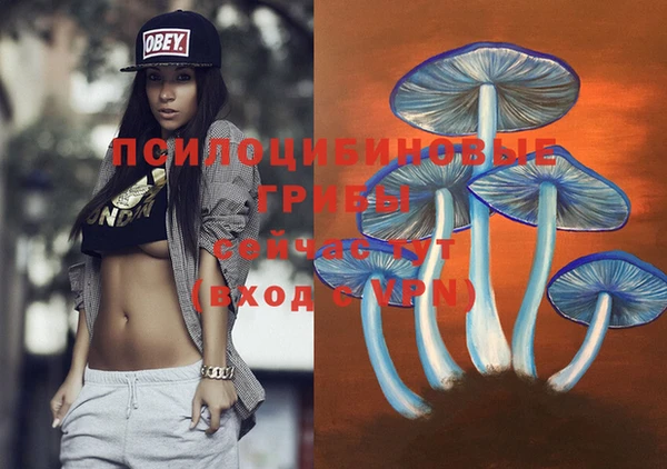 дживик Белоозёрский
